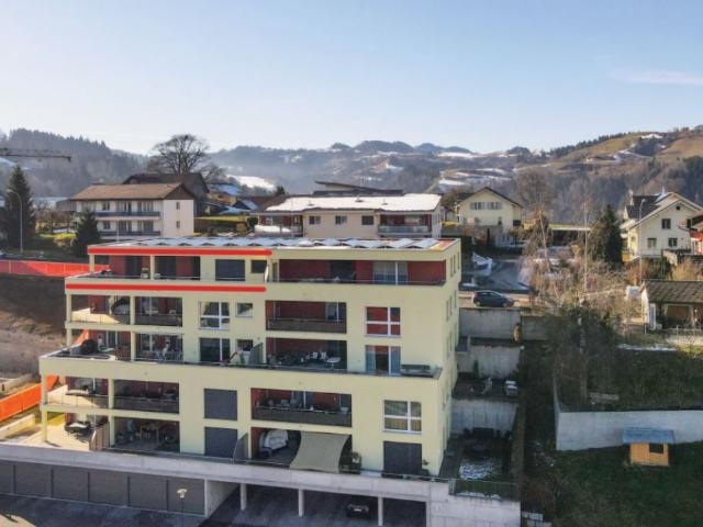 Attikawohnung mit grosser Terrasse
