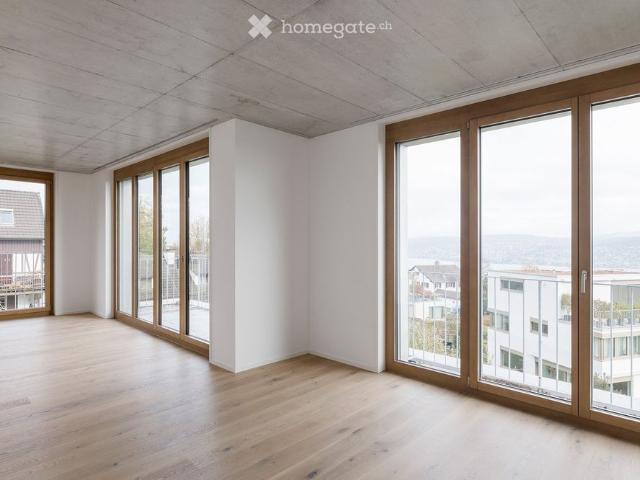 Attikawohnung in Thalwil