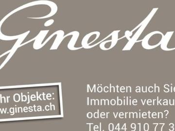 Attikawohnung 4 Zimmer
