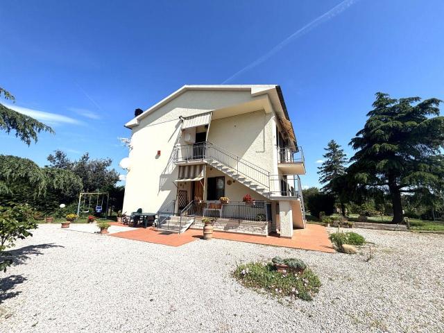 Attività commerciale 400mq