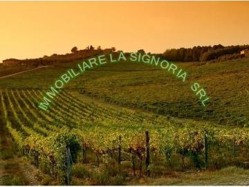 Attività commerciale 4500mq