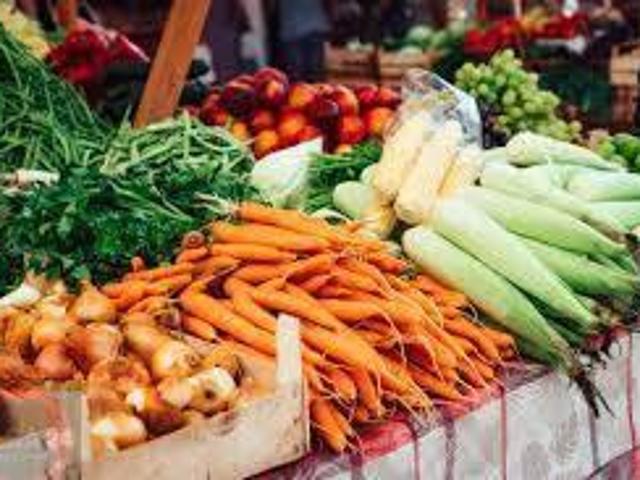 Attività commerciale monolocale 20mq