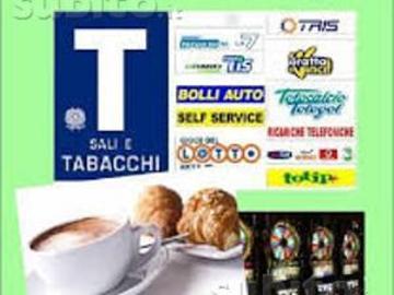 Attività commerciale bilocale 216mq