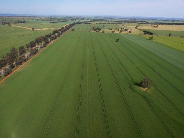 Attractive Mixed Farming Land | Build Your Dream Home