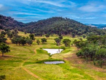 Attractive and private prime grazing property