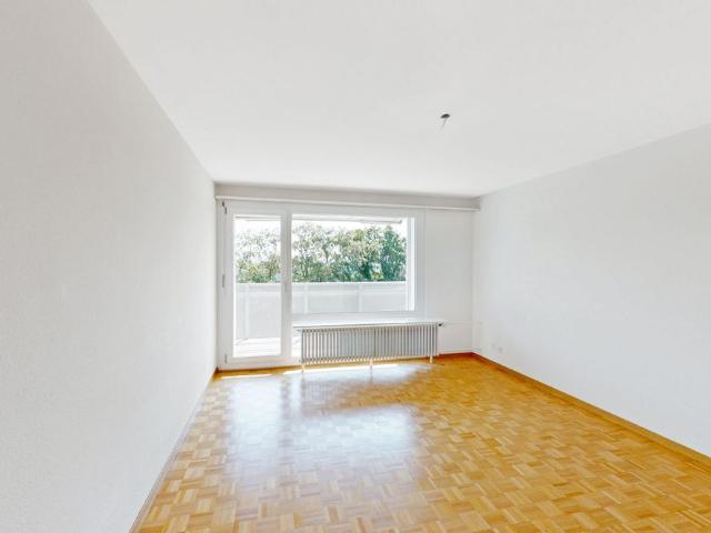 Attractive apartment, ideal for young and old!