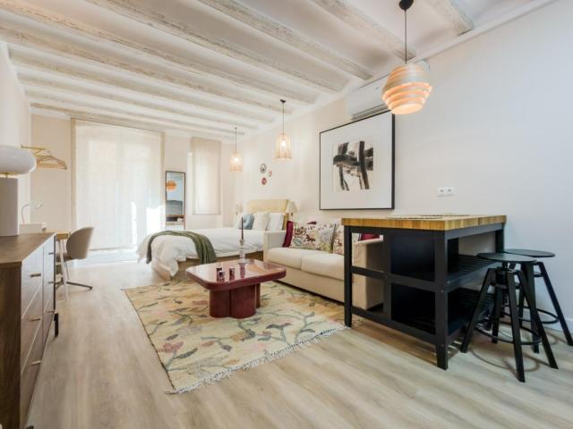 Attractive studio in the heart of Barcelona