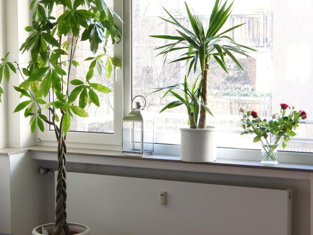 Attractive 1 room apartment in well kept apartment house in a convenient location, Dusseldorf Amsterdam Apartments for Rent