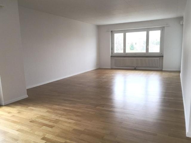Attractive 3.5 room apartment with pool for shared use