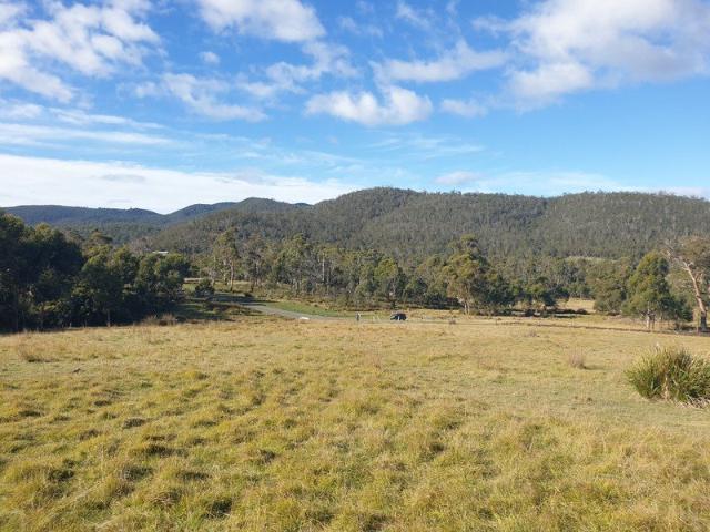 Attractive 6 Acre Lifestyle Lot