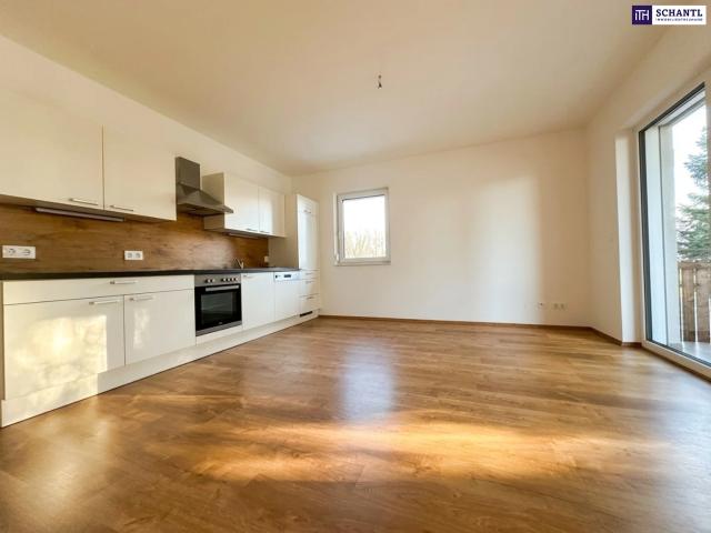 Attraktive Neubauwohnung mit großzügigem Balkon und idyllischem Ausblick