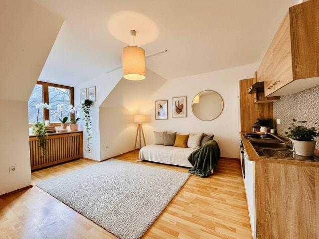 Attraktive, bereits vermietete 3 Zimmer Wohnung mit Garten ideales Anlageobjekt