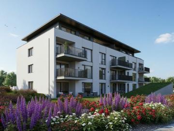 Steingasse, Niederbipp, Niederbipp, Verwaltungskreis Oberaargau, Verwaltungsregion Emmental-Oberaargau, Kanton Bern