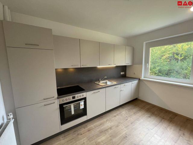 Attraktive Familienwohnung mit neuer Küche!