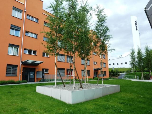 Attraktive Single Wohnung