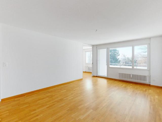 Attraktive Wohnung im Zilquartier!