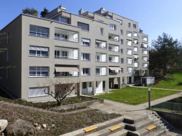 Attraktive Wohnung mit Blick ins schöne Sihltal!