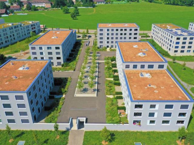 Attraktive Wohnung sucht charmanten Single