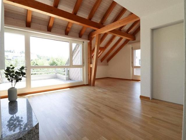Attraktive 2.5 Zimmer Attika Wohnung