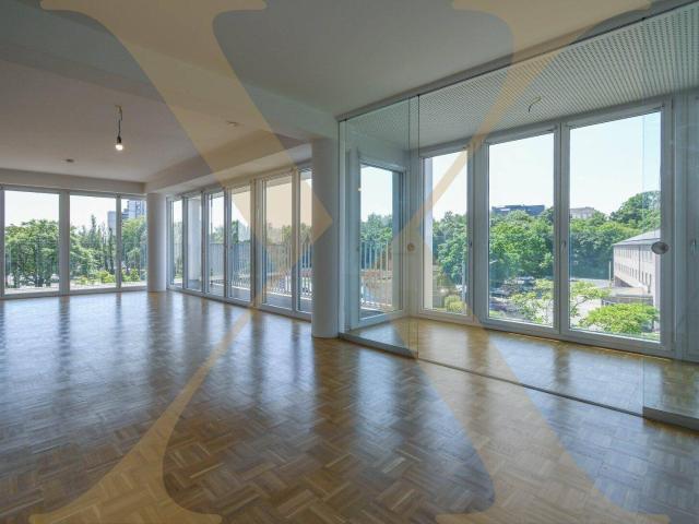 Attraktive 2 Zimmer Wohnung mit großer Fensterfront und großzügiger Raumaufteilung in Linz zu vermieten! Top 39