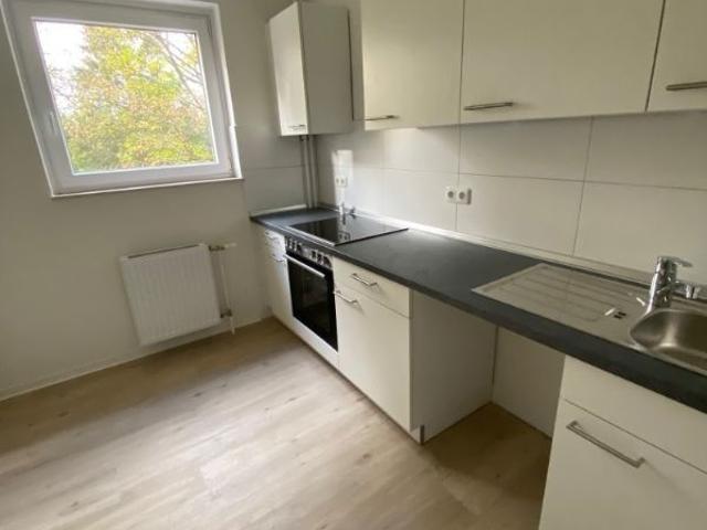 Attraktive 3 Zimmer Wohnung in Ratzeburg 23909 Ratzeburg