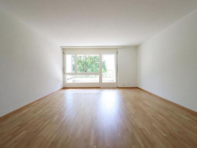 Attraktive 4.5 Zimmer Wohnung im grünen Engelhardquartier