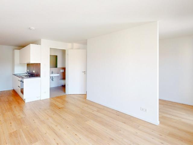 Attraktives 1 Zimmer Apartment in moderner Bauweise