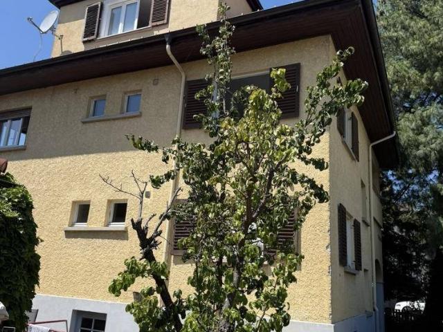 Attraktives Dreifamilienhaus mit Charme und Entwicklungspotenzial in Bregenz Vorkloster
