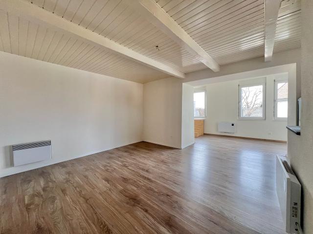 Atypisches grosses 2,5 Zimmer Apartment mit grosser Terrasse
