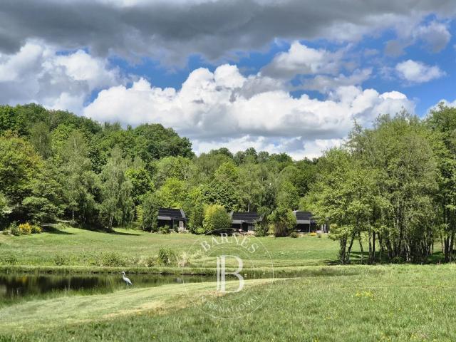 Au cœur de l' Auvergne Domaine d'exception 631m² Champs sur Tarentaine Marchal