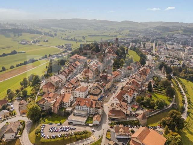 Au centre ville: spacieuse maison de 285 m² habitables