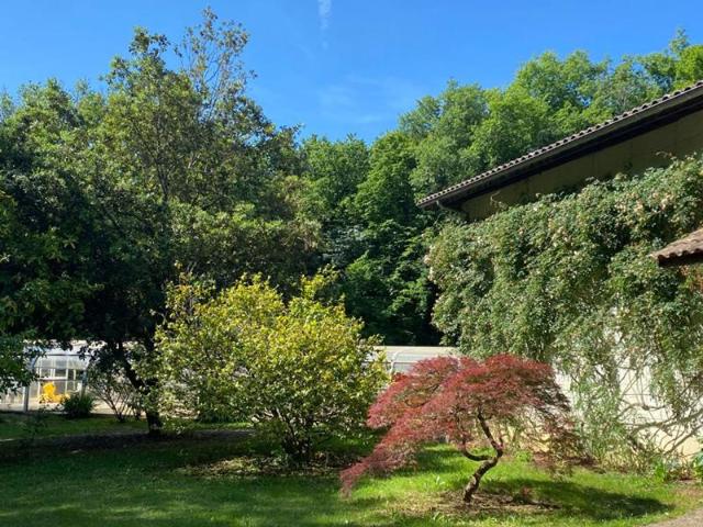 Spacieuse maison en pleine nature, moins d'une heure de Bordeaux, à Blasimon