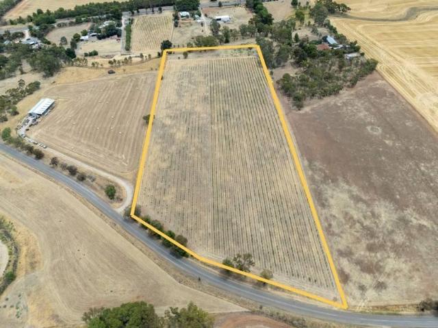 Land Auburn SA 102208364