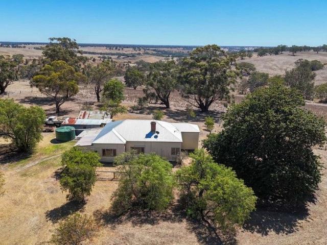 MILTON HILL PRODUCTIVE FARMING LAND WITH A COMFORTABLE FAMILY HOME