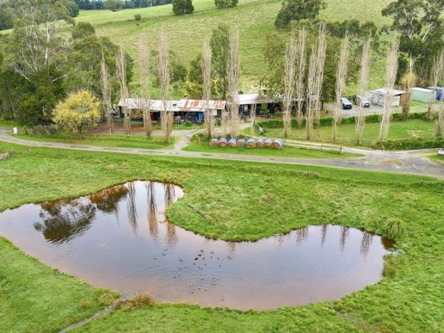 AUCTION High Country Appeal in the Yarra Valley