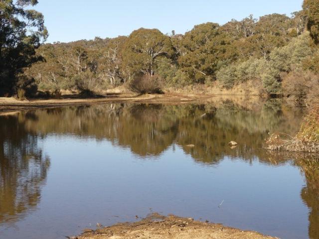 AUCTION 11th SEPTEMBER 11:00am COOMA EX SERVICES CLUB