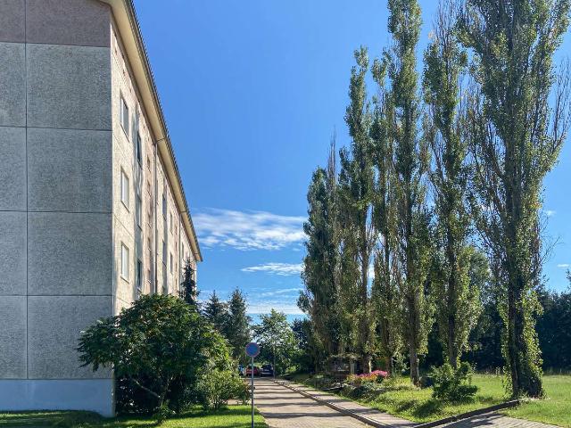 Auengrund Wohnen direkt am Feldrand im Grünen selbst renovieren