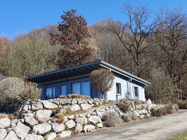 Single oder Pärchenbungalow am Waldrand
