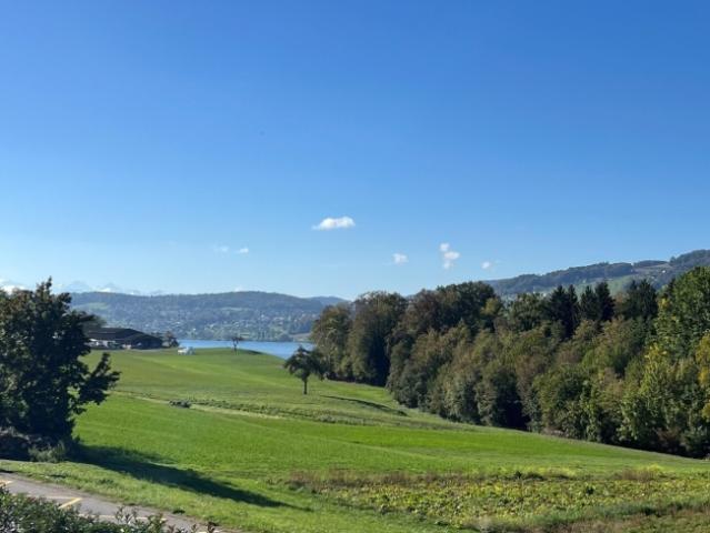 Auf der Sonnenseite des Hallwilersees 4 ½ Zimmer Wohnung in Tennwil