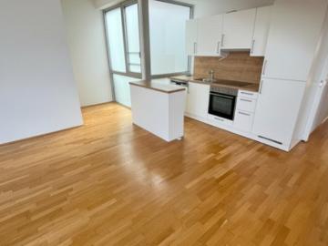 Auffallend exzellente Dachgeschoßwohnung nähe KF Uni zu vermieten!