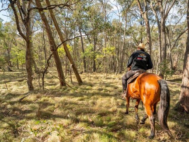 Australian bush conservation
