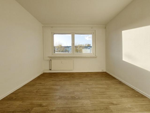 Aus Baustelle wird Traumwohnung! Wir renovieren 3 Zimmer Wohnung mit Ausblick in Dresden!