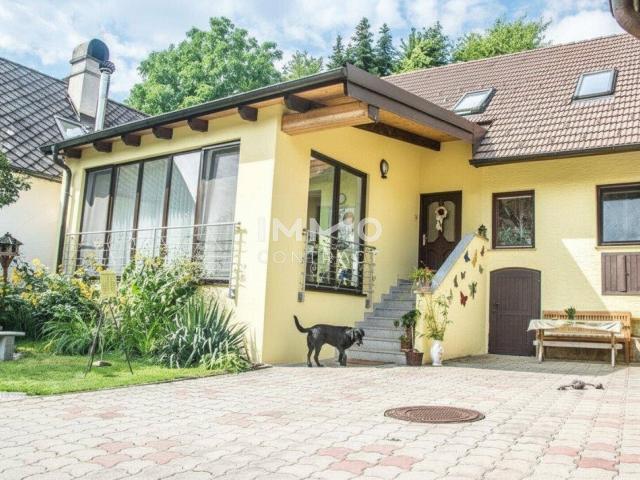 Aus dem Dornröschenschlaf erwecken. Besichtigung 1.Juli 2026 ab 16:00h n.Voranmeldung