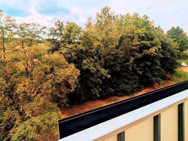 Ausgezeichnete Wohnlage 407,00 EUR Kaltmiete, ca.54,24 m²