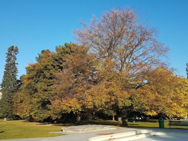 AUSSERBÖRSE – FLORISSANT / PARC BERTRAND