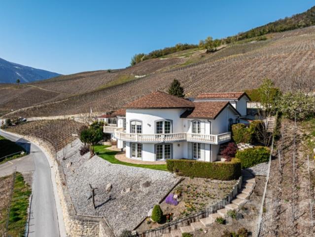 Außergewöhnliche Villa – Panoramablick – 3 Unterkünfte