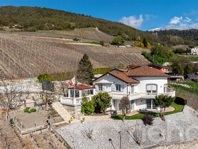 Außergewöhnliche Villa – Panoramablick – 3 Unterkünfte