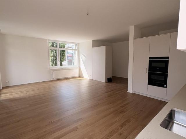Aussergewöhnliche Wohnung mit viel Platz und Nutzungsmöglichkeiten