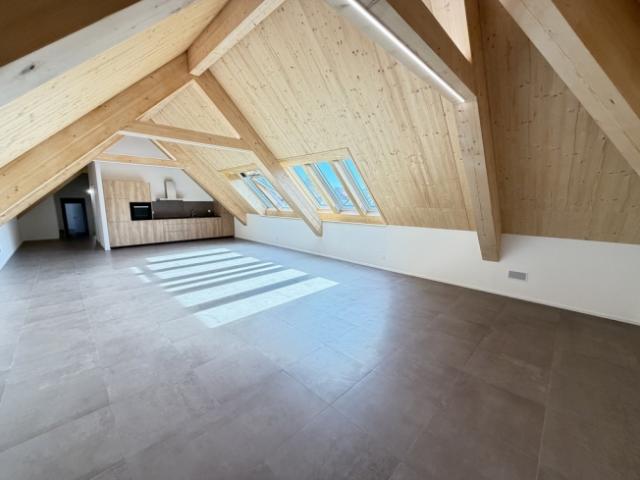 Außergewöhnliche Wohnung auf dem Dachboden