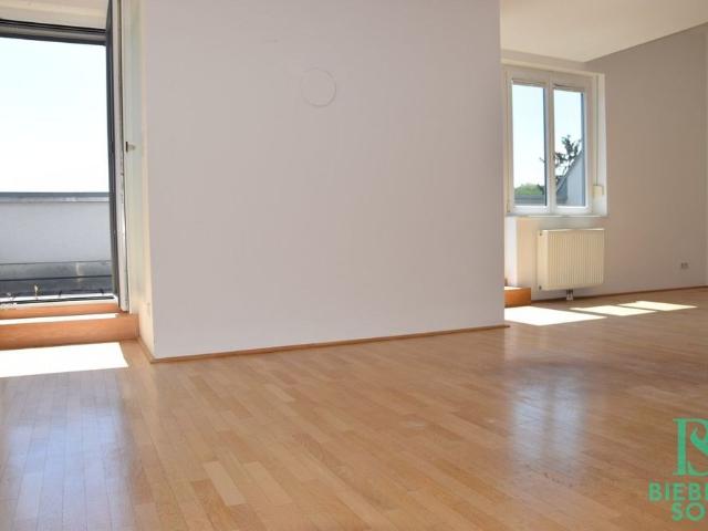 Aussergewöhnliche Dachterrassenwohnung mit Blick über Wien und Eigengarten!